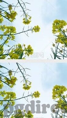 007足球比分即时比-007足球比分即时比,一场数字背后的足球狂欢盛宴