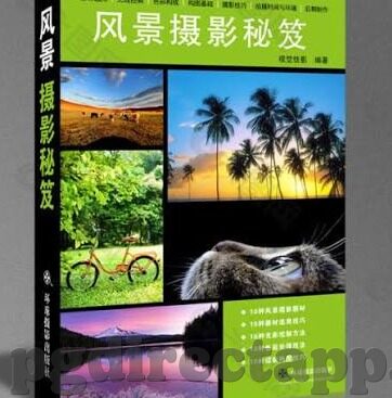 奥迅足球比分-探秘奥迅足球比分,足球迷的实时数据宝藏库